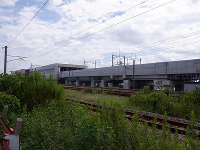 ꉷw摜