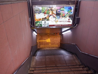 ꉷw摜