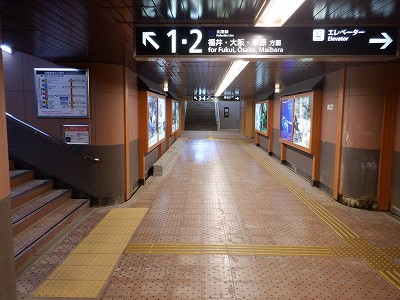 ꉷw摜