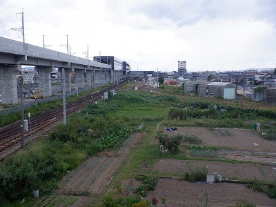 w摜