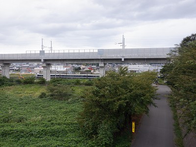 w摜