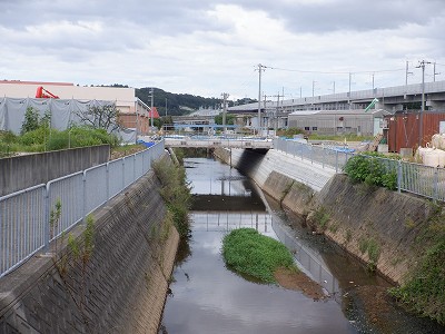 w摜