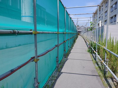 w摜