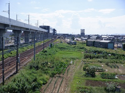 w摜