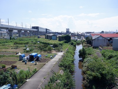 w摜
