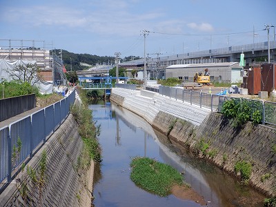 w摜