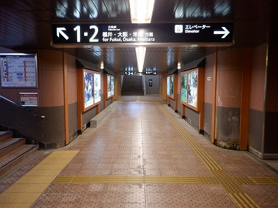 ꉷw摜