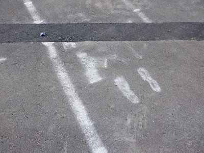 w摜