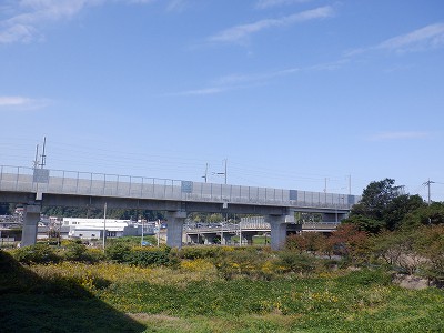w摜