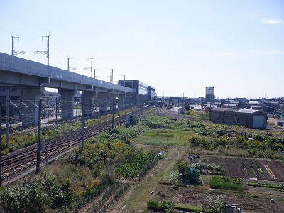 w摜