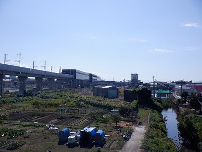 w摜