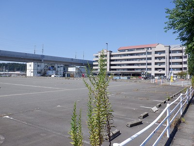 w摜