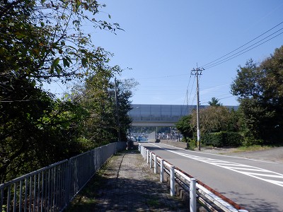 w摜