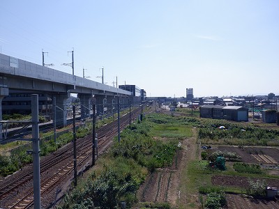 w摜