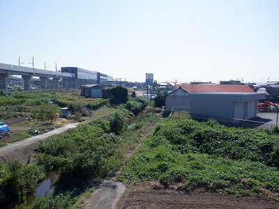 w摜