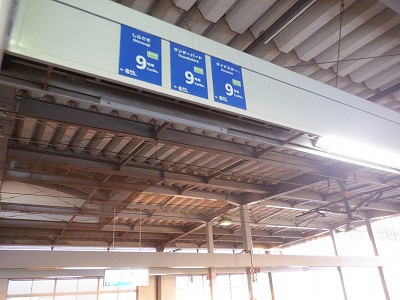 �����w�摜