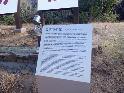 �����w�摜