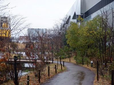 �����w�摜