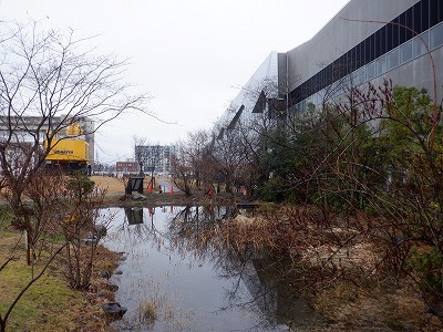 �����w�摜