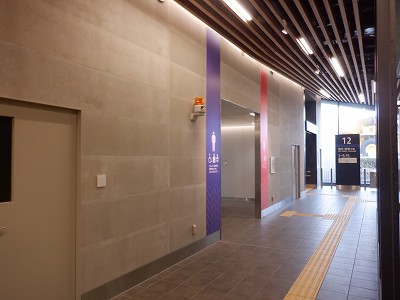 �����w�摜