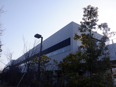 �����w�摜