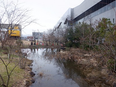 �����w�摜