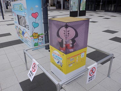 �����w�摜