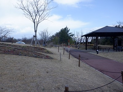 �����w�摜