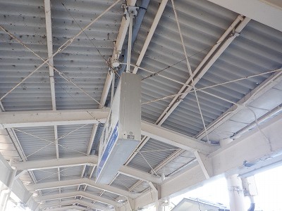 �����w�摜