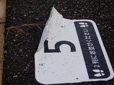 �����w�摜