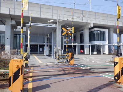 ������w�摜