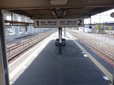 ������w�摜