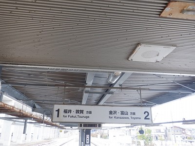 ������w�摜