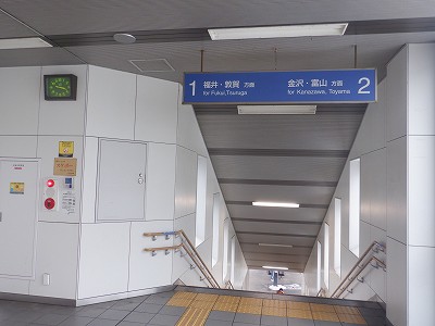 ������w�摜