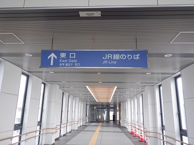 ������w�摜