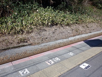 ���m�J�w�摜