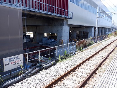 ���ꉷ��w�摜