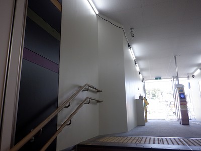 ���ꉷ��w�摜