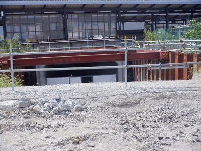 ���ꉷ��w�摜