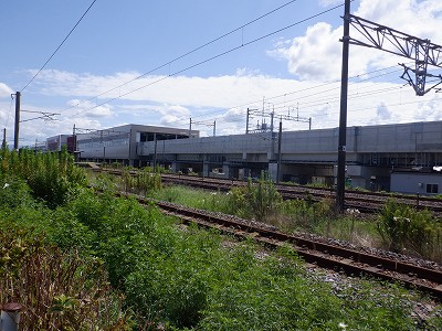 ���ꉷ��w�摜