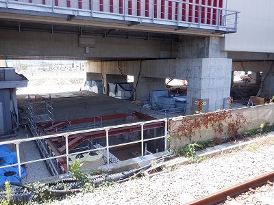 ���ꉷ��w�摜