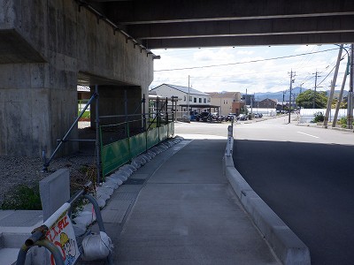 ���ꉷ��w�摜