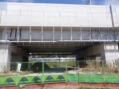 ���ꉷ��w�摜