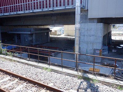 ���ꉷ��w�摜