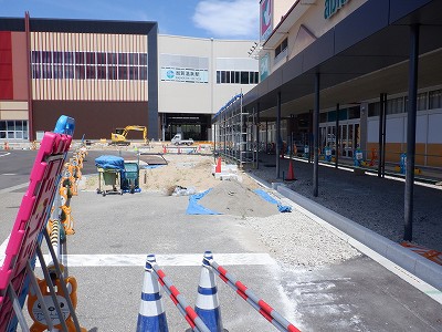 ���ꉷ��w�摜