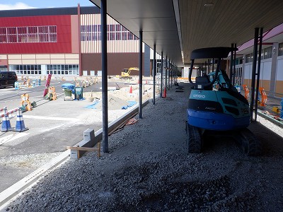 ���ꉷ��w�摜