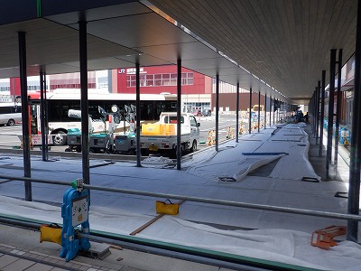 ���ꉷ��w�摜