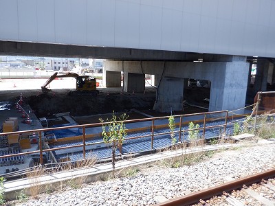 ���ꉷ��w�摜