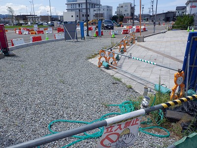 ���ꉷ��w�摜