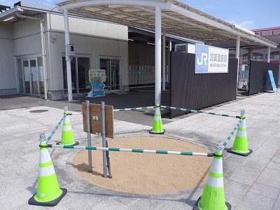 ���ꉷ��w�摜